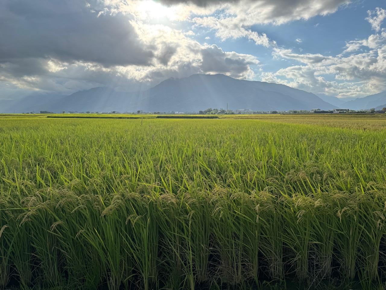 Sunlight breaking through clouds over green fields and mountains
